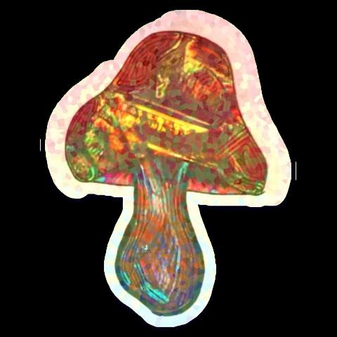 Psychedelic Mushroom